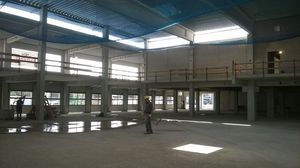 Bau