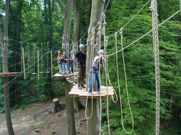 igk Krabbe - Kletterwald