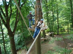 igk Krabbe - Kletterwald