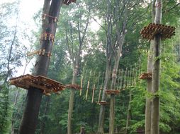 igk Krabbe - Kletterwald