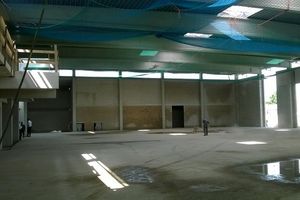 Bau