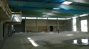 Bau